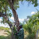 BWA NW OkavangoDelta 2016DEC02 Mokoro 023 : 2016, 2016 - African Adventures, Africa, Botswana, Date, December, Mokoro Base Camp, Month, Northwest, Okavango Delta, Places, Southern, Trips, Year
